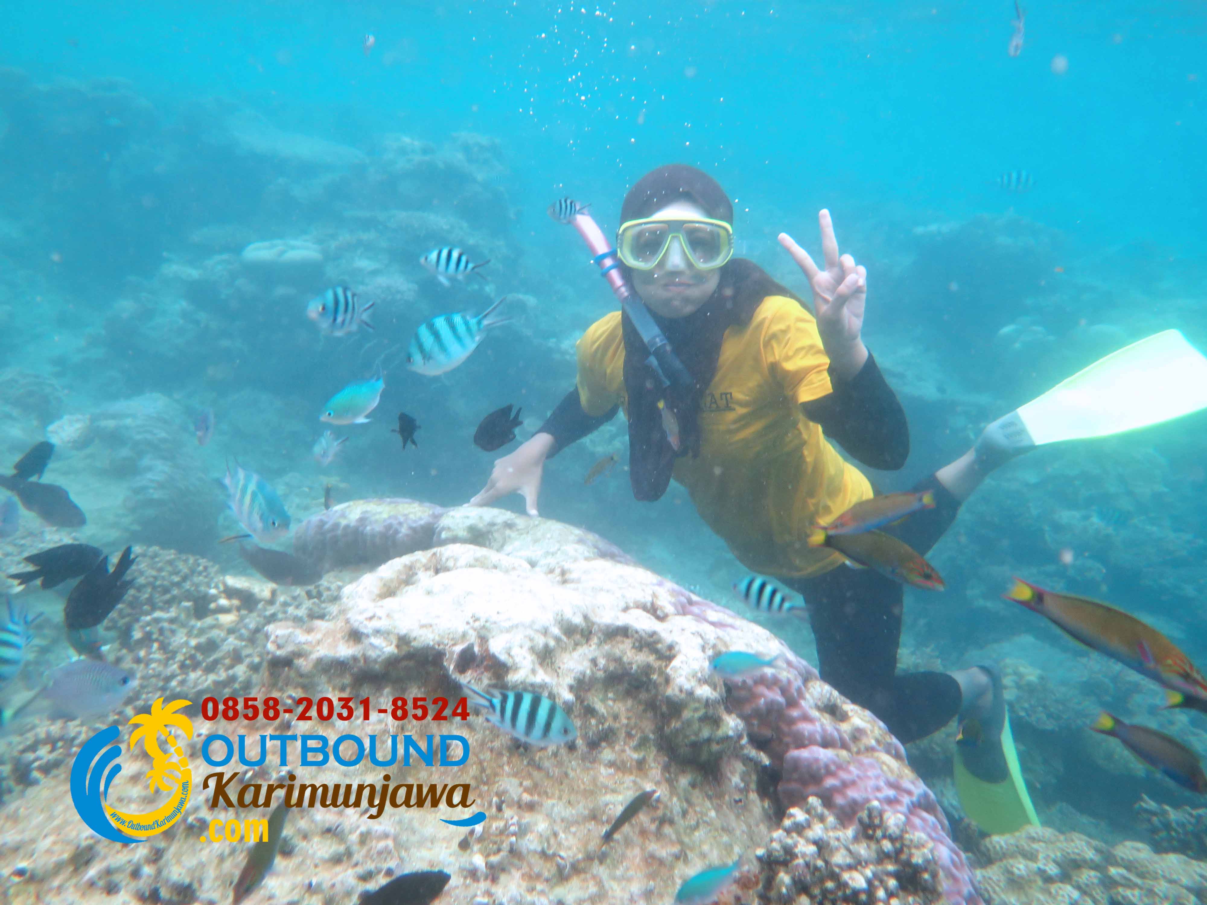 tour 1 hari di karimunjawa