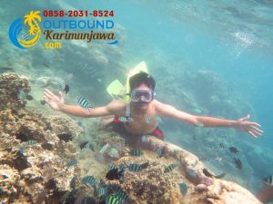 Paket Snorkeling Karimunjawa